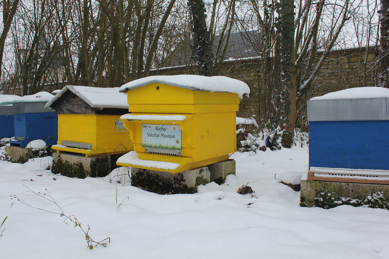 La ruche Sololbe Mouque